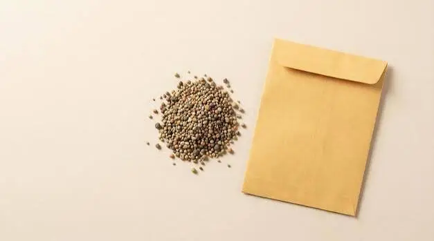 Seeds