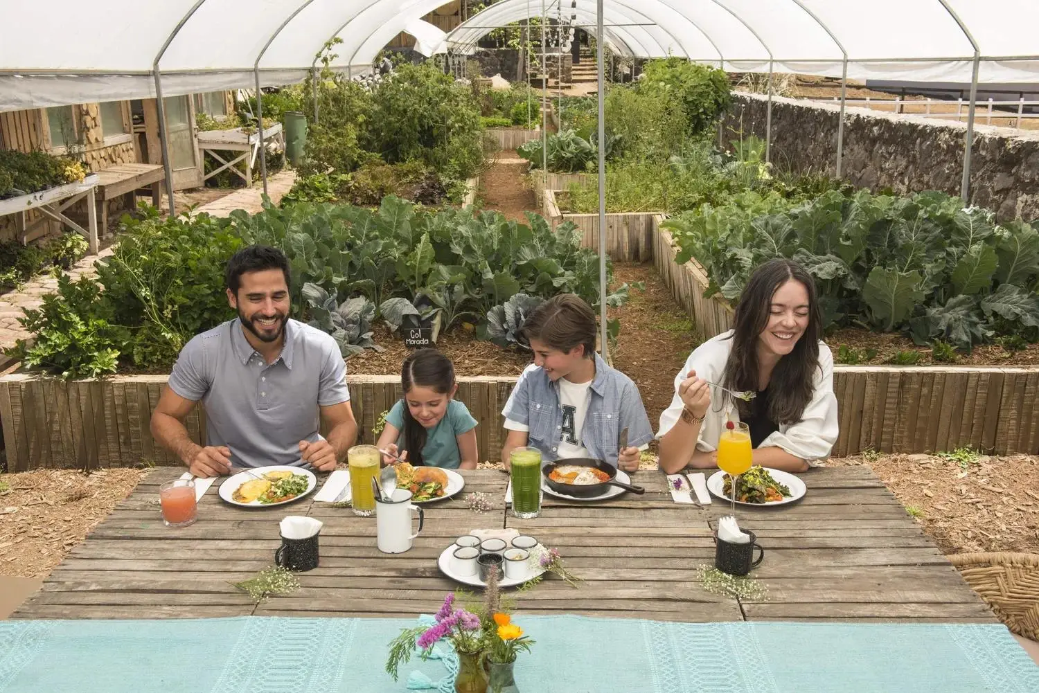 From Farm to Table