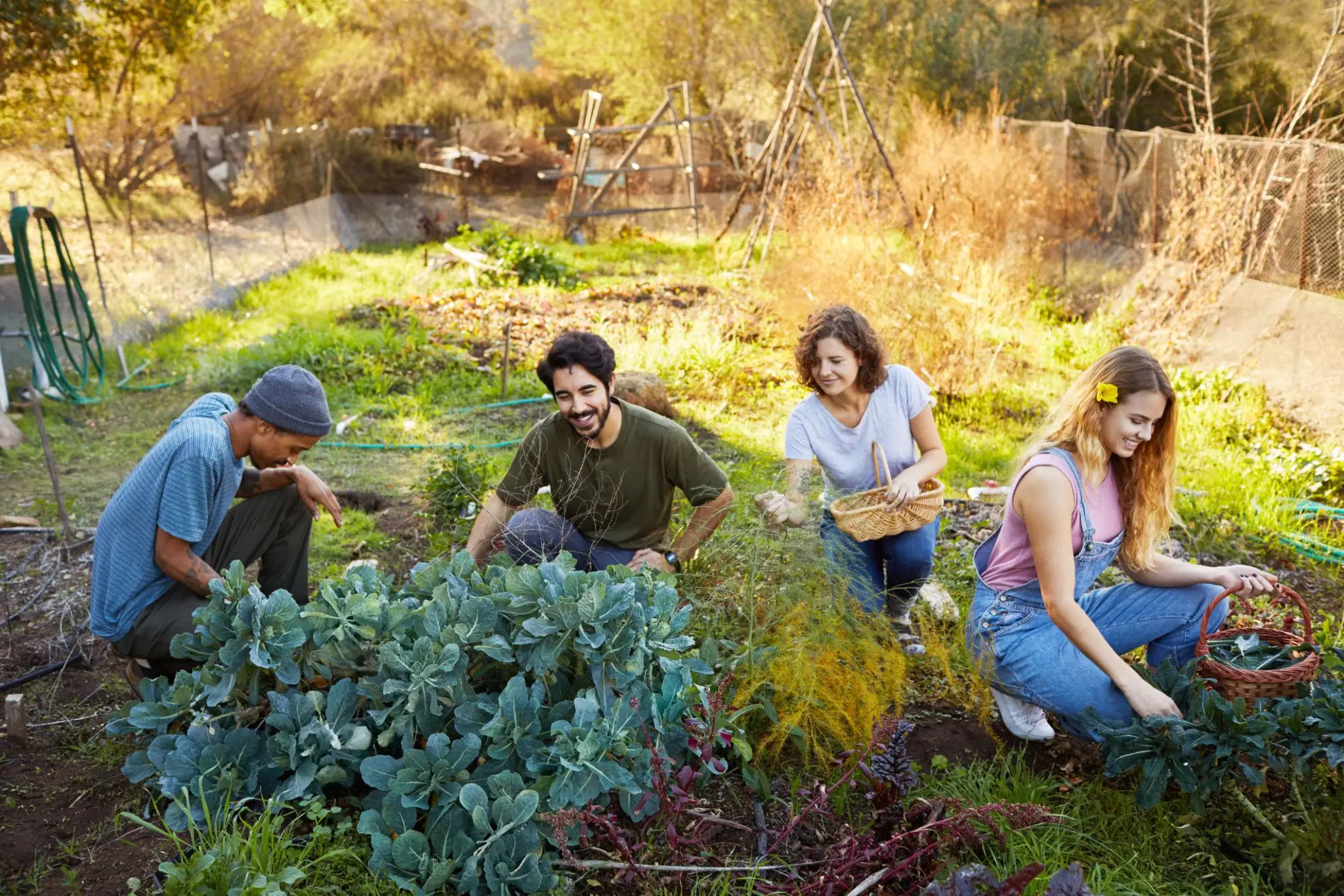 Building a Healthier Community